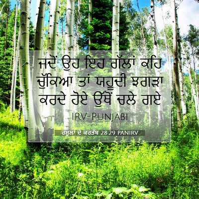 Picture 07 - ਰਸੂਲਾਂ ਦੇ ਕਰਤੱਬ 28:29 PANIRV - ਜਦੋਂ ਉਹ ਇਹ ਗੱਲਾਂ - Bible Verse Picture