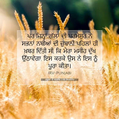 Picture 07 - ਰਸੂਲਾਂ ਦੇ ਕਰਤੱਬ 3:18 PANIRV - ਪਰ ਜਿਨ੍ਹਾਂ ਗੱਲਾਂ - Bible Verse Picture
