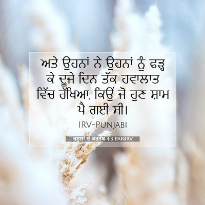 Picture 07 - ਰਸੂਲਾਂ ਦੇ ਕਰਤੱਬ 4:3 PANIRV - ਅਤੇ ਉਹਨਾਂ ਨੇ ਉਹਨਾਂ - Bible Verse Picture