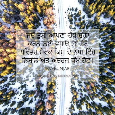Picture 07 - ਰਸੂਲਾਂ ਦੇ ਕਰਤੱਬ 4:30 PANIRV - ਜਦੋਂ ਤੁਸੀਂ ਆਪਣਾ - Bible Verse Picture