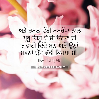 Picture 07 - ਰਸੂਲਾਂ ਦੇ ਕਰਤੱਬ 4:33 PANIRV - ਅਤੇ ਰਸੂਲ ਵੱਡੀ - Bible Verse Picture