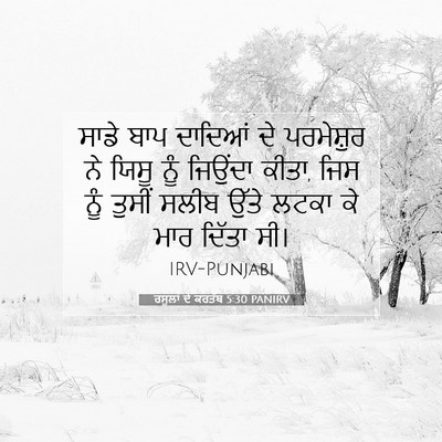 Picture 07 - ਰਸੂਲਾਂ ਦੇ ਕਰਤੱਬ 5:30 PANIRV - ਸਾਡੇ ਬਾਪ ਦਾਦਿਆਂ ਦੇ - Bible Verse Picture