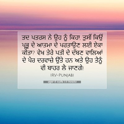 Picture 07 - ਰਸੂਲਾਂ ਦੇ ਕਰਤੱਬ 5:9 PANIRV - ਤਦ ਪਤਰਸ ਨੇ ਉਹ ਨੂੰ - Bible Verse Picture