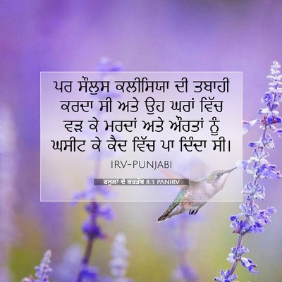 Picture 07 - ਰਸੂਲਾਂ ਦੇ ਕਰਤੱਬ 8:3 PANIRV - ਪਰ ਸੌਲੁਸ ਕਲੀਸਿਯਾ - Bible Verse Picture