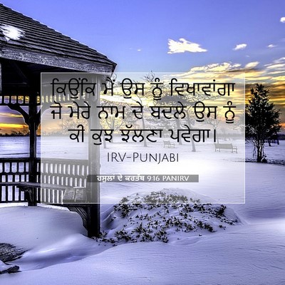 Picture 07 - ਰਸੂਲਾਂ ਦੇ ਕਰਤੱਬ 9:16 PANIRV - ਕਿਉਂਕਿ ਮੈਂ ਉਸ ਨੂੰ - Bible Verse Picture