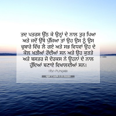 Picture 07 - ਰਸੂਲਾਂ ਦੇ ਕਰਤੱਬ 9:39 PANIRV - ਤਦ ਪਤਰਸ ਉੱਠ ਕੇ - Bible Verse Picture