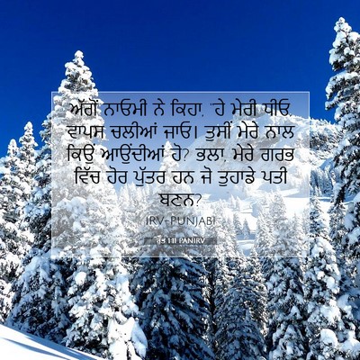 Picture 07 - ਰੁੱਤ 1:11 PANIRV - ਅੱਗੋਂ ਨਾਓਮੀ ਨੇ - Bible Verse Picture