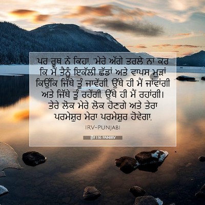 Picture 07 - ਰੁੱਤ 1:16 PANIRV - ਪਰ ਰੂਥ ਨੇ ਕਿਹਾ, - Bible Verse Picture