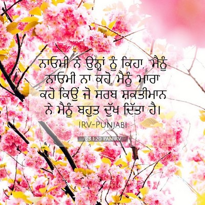 Picture 07 - ਰੁੱਤ 1:20 PANIRV - ਨਾਓਮੀ ਨੇ ਉਨ੍ਹਾਂ - Bible Verse Picture
