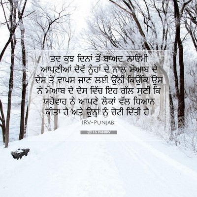 Picture 07 - ਰੁੱਤ 1:6 PANIRV - ਤਦ ਕੁਝ ਦਿਨਾਂ ਤੋਂ - Bible Verse Picture