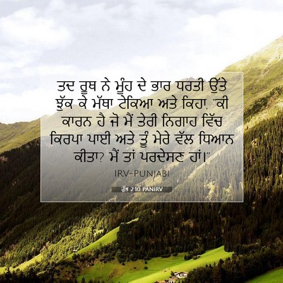 Picture 07 - ਰੁੱਤ 2:10 PANIRV - ਤਦ ਰੂਥ ਨੇ ਮੂੰਹ ਦੇ - Bible Verse Picture