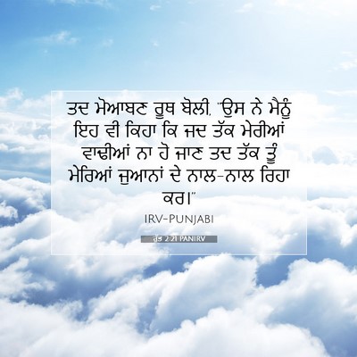 Picture 07 - ਰੁੱਤ 2:21 PANIRV - ਤਦ ਮੋਆਬਣ ਰੂਥ ਬੋਲੀ, - Bible Verse Picture