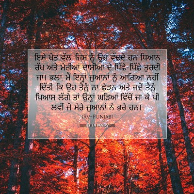 Picture 07 - ਰੁੱਤ 2:9 PANIRV - ਇਸੇ ਖੇਤ ਵੱਲ, ਜਿਸ - Bible Verse Picture