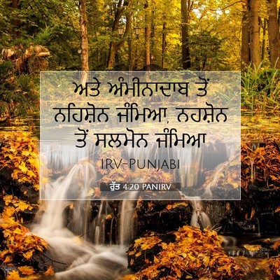 Picture 07 - ਰੁੱਤ 4:20 PANIRV - ਅਤੇ ਅੰਮੀਨਾਦਾਬ ਤੋਂ - Bible Verse Picture