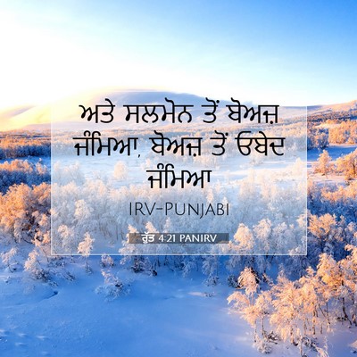 Picture 07 - ਰੁੱਤ 4:21 PANIRV - ਅਤੇ ਸਲਮੋਨ ਤੋਂ - Bible Verse Picture
