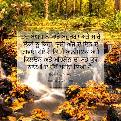 Picture 07 - ਰੁੱਤ 4:9 PANIRV - ਤਦ ਬੋਅਜ਼ ਨੇ ਸਾਰੇ - Bible Verse Picture