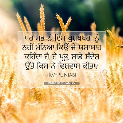Picture 07 - ਰੋਮੀਆਂ 10:16 PANIRV - ਪਰ ਸਭ ਨੇ ਇਸ - Bible Verse Picture