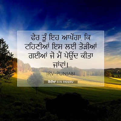 Picture 07 - ਰੋਮੀਆਂ 11:19 PANIRV - ਫੇਰ ਤੂੰ ਇਹ ਆਖੇਂਗਾ, - Bible Verse Picture