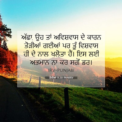Picture 07 - ਰੋਮੀਆਂ 11:20 PANIRV - ਅੱਛਾ, ਉਹ ਤਾਂ - Bible Verse Picture