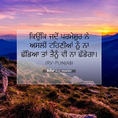 Picture 07 - ਰੋਮੀਆਂ 11:21 PANIRV - ਕਿਉਂਕਿ ਜਦੋਂ - Bible Verse Picture
