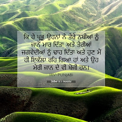 Picture 07 - ਰੋਮੀਆਂ 11:3 PANIRV - ਕਿ ਹੇ ਪ੍ਰਭੂ, ਉਹਨਾਂ - Bible Verse Picture