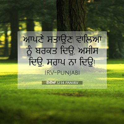 Picture 07 - ਰੋਮੀਆਂ 12:14 PANIRV - ਆਪਣੇ ਸਤਾਉਣ ਵਾਲਿਆ - Bible Verse Picture