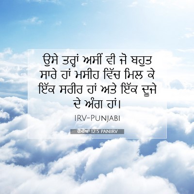Picture 07 - ਰੋਮੀਆਂ 12:5 PANIRV - ਉਸੇ ਤਰ੍ਹਾਂ ਅਸੀਂ ਵੀ - Bible Verse Picture