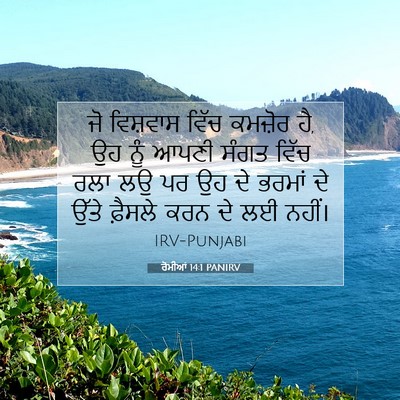 Picture 07 - ਰੋਮੀਆਂ 14:1 PANIRV - ਜੋ ਵਿਸ਼ਵਾਸ ਵਿੱਚ - Bible Verse Picture