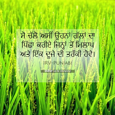 Picture 07 - ਰੋਮੀਆਂ 14:19 PANIRV - ਸੋ ਚੱਲੋ ਅਸੀਂ ਉਹਨਾਂ - Bible Verse Picture