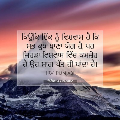 Picture 07 - ਰੋਮੀਆਂ 14:2 PANIRV - ਕਿਉਂਕਿ ਇੱਕ ਨੂੰ - Bible Verse Picture