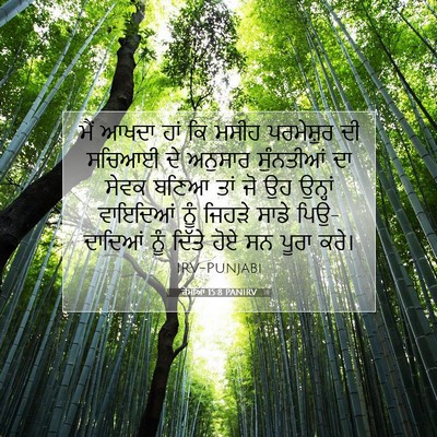 Picture 07 - ਰੋਮੀਆਂ 15:8 PANIRV - ਮੈਂ ਆਖਦਾ ਹਾਂ ਕਿ - Bible Verse Picture