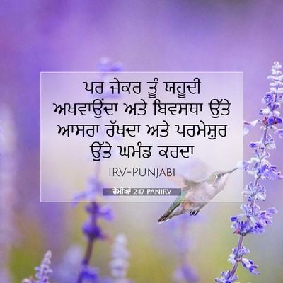 Picture 07 - ਰੋਮੀਆਂ 2:17 PANIRV - ਪਰ ਜੇਕਰ ਤੂੰ ਯਹੂਦੀ - Bible Verse Picture