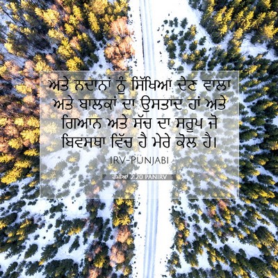 Picture 07 - ਰੋਮੀਆਂ 2:20 PANIRV - ਅਤੇ ਨਦਾਨਾਂ ਨੂੰ - Bible Verse Picture