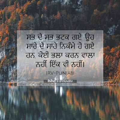 Picture 07 - ਰੋਮੀਆਂ 3:12 PANIRV - ਸਭ ਦੇ ਸਭ ਭਟਕ ਗਏ, ਉਹ - Bible Verse Picture