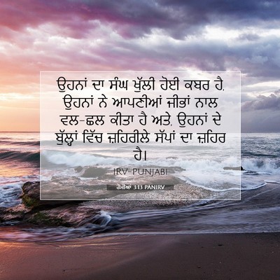 Picture 07 - ਰੋਮੀਆਂ 3:13 PANIRV - ਉਹਨਾਂ ਦਾ ਸੰਘ ਖੁੱਲੀ - Bible Verse Picture