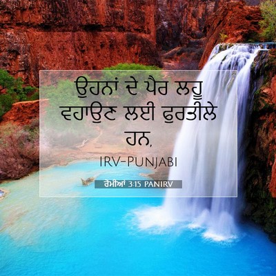 Picture 07 - ਰੋਮੀਆਂ 3:15 PANIRV - ਉਹਨਾਂ ਦੇ ਪੈਰ ਲਹੂ - Bible Verse Picture
