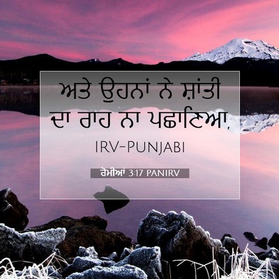 Picture 07 - ਰੋਮੀਆਂ 3:17 PANIRV - ਅਤੇ ਉਹਨਾਂ ਨੇ - Bible Verse Picture