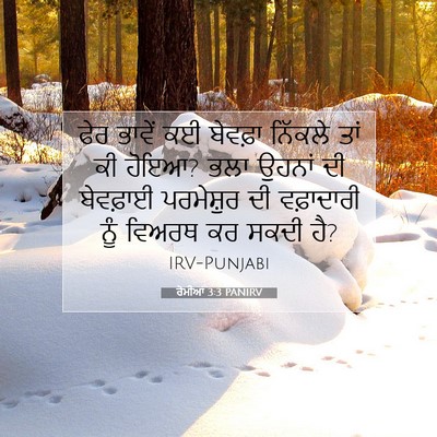 Picture 07 - ਰੋਮੀਆਂ 3:3 PANIRV - ਫੇਰ ਭਾਵੇਂ ਕਈ - Bible Verse Picture
