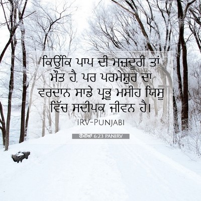 Picture 07 - ਰੋਮੀਆਂ 6:23 PANIRV - ਕਿਉਂਕਿ ਪਾਪ ਦੀ - Bible Verse Picture