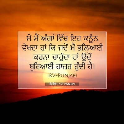 Picture 07 - ਰੋਮੀਆਂ 7:21 PANIRV - ਸੋ ਮੈਂ ਅੰਗਾਂ ਵਿੱਚ - Bible Verse Picture