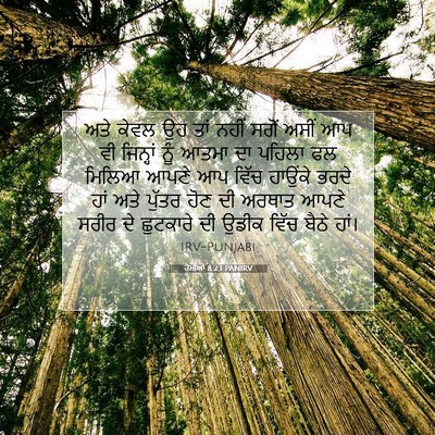 Picture 07 - ਰੋਮੀਆਂ 8:23 PANIRV - ਅਤੇ ਕੇਵਲ ਉਹ ਤਾਂ - Bible Verse Picture
