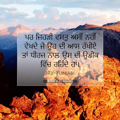 Picture 07 - ਰੋਮੀਆਂ 8:25 PANIRV - ਪਰ ਜਿਹੜੀ ਵਸਤੁ ਅਸੀਂ - Bible Verse Picture