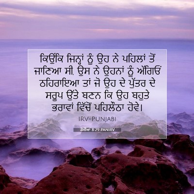 Picture 07 - ਰੋਮੀਆਂ 8:29 PANIRV - ਕਿਉਂਕਿ ਜਿਨ੍ਹਾਂ - Bible Verse Picture