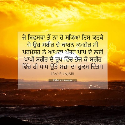 Picture 07 - ਰੋਮੀਆਂ 8:3 PANIRV - ਜੋ ਬਿਵਸਥਾ ਤੋਂ ਨਾ ਹੋ - Bible Verse Picture
