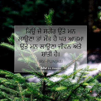 Picture 07 - ਰੋਮੀਆਂ 8:6 PANIRV - ਕਿਉਂ ਜੋ ਸਰੀਰ ਉੱਤੇ - Bible Verse Picture