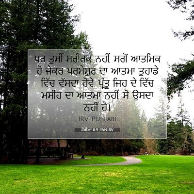 Picture 07 - ਰੋਮੀਆਂ 8:9 PANIRV - ਪਰ ਤੁਸੀਂ ਸਰੀਰਕ - Bible Verse Picture