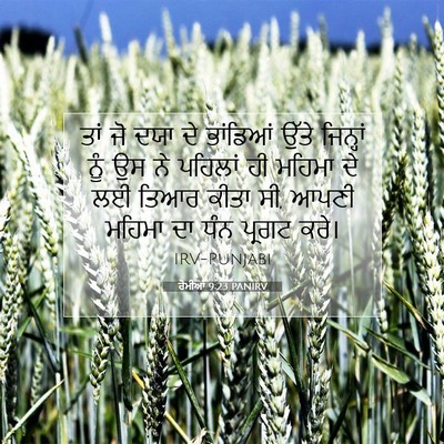 Picture 07 - ਰੋਮੀਆਂ 9:23 PANIRV - ਤਾਂ ਜੋ ਦਯਾ ਦੇ - Bible Verse Picture