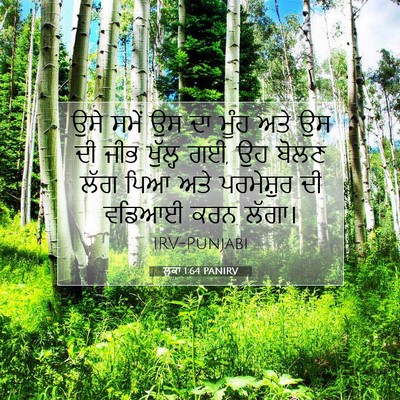Picture 07 - ਲੂਕਾ 1:64 PANIRV - ਉਸੇ ਸਮੇਂ ਉਸ ਦਾ ਮੂੰਹ - Bible Verse Picture