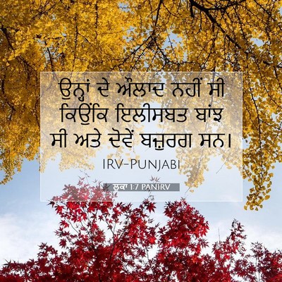 Picture 07 - ਲੂਕਾ 1:7 PANIRV - ਉਨ੍ਹਾਂ ਦੇ ਔਲਾਦ - Bible Verse Picture