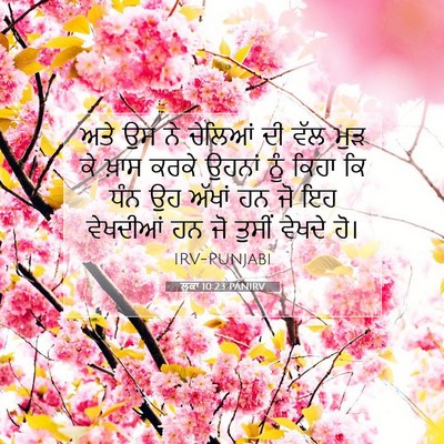 Picture 07 - ਲੂਕਾ 10:23 PANIRV - ਅਤੇ ਉਸ ਨੇ ਚੇਲਿਆਂ ਦੀ - Bible Verse Picture